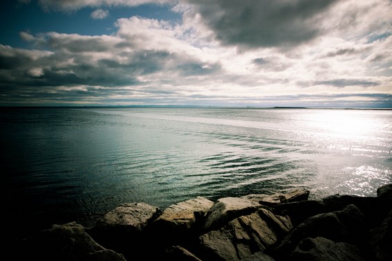 Excursion à la Baie Sainte Catherine pour voir les baleines, Canada