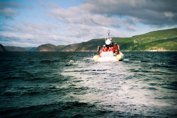 Excursion à la Baie Sainte Catherine pour voir les baleines, Canada
