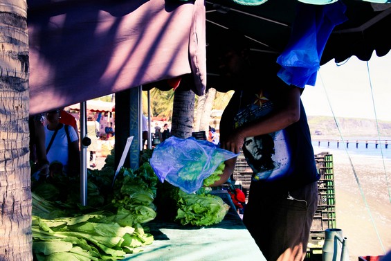 Reunion, Marché de Saint Paul Marchand en bord de mer