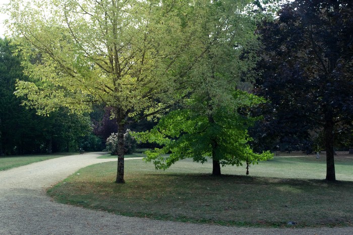 parc d'Azay-le-Rideau